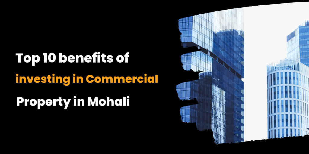 commercial property in mohali